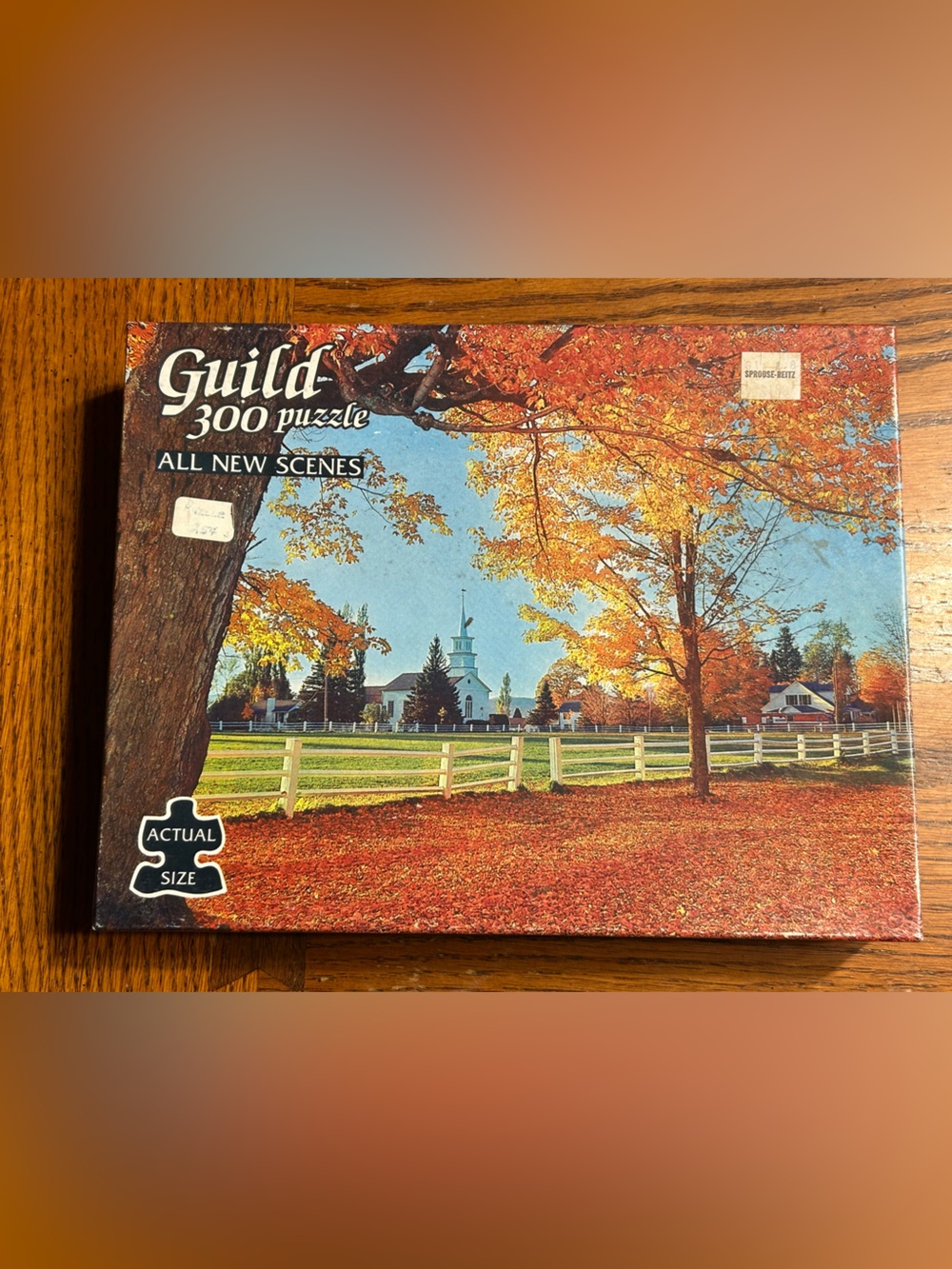Vintage 300-Piece Fall Scene Jigsaw Puzzle - Autumn Colors